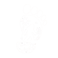 Swamp Ape Supply